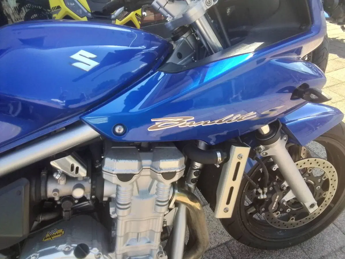 Suzuki GSF 650 Bandit S (2006 - 12) (15)