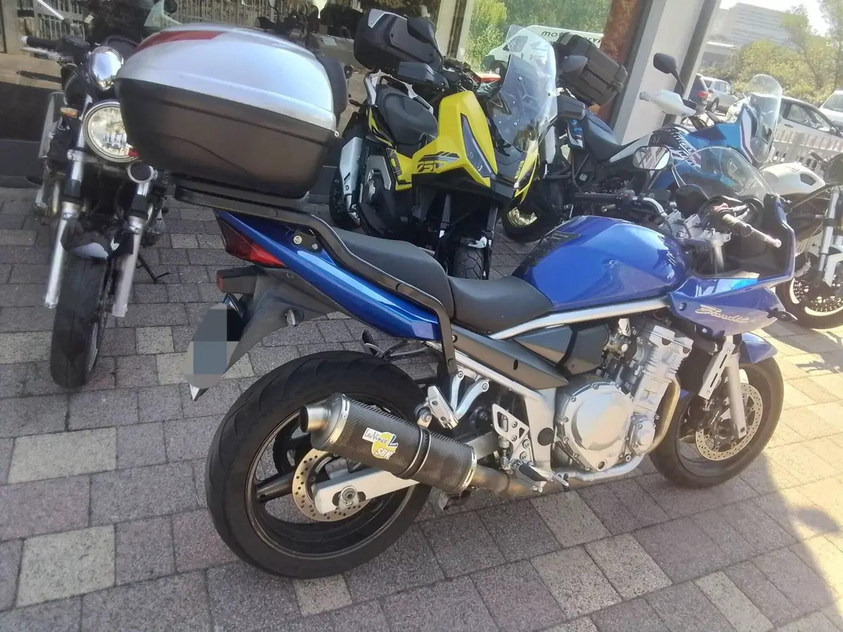 Suzuki GSF 650 Bandit S (2006 - 12) (19)
