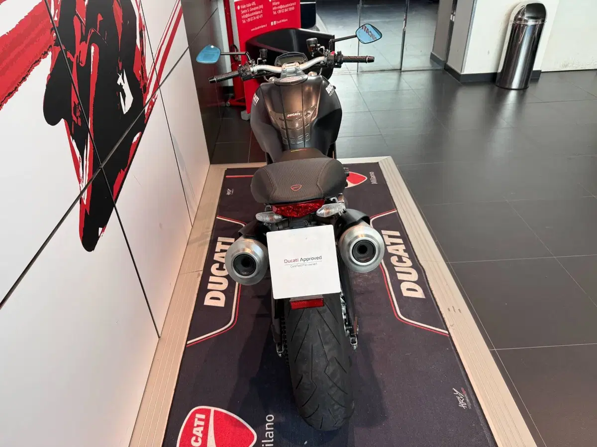 Ducati Monster 696 (2008 - 13) (8)