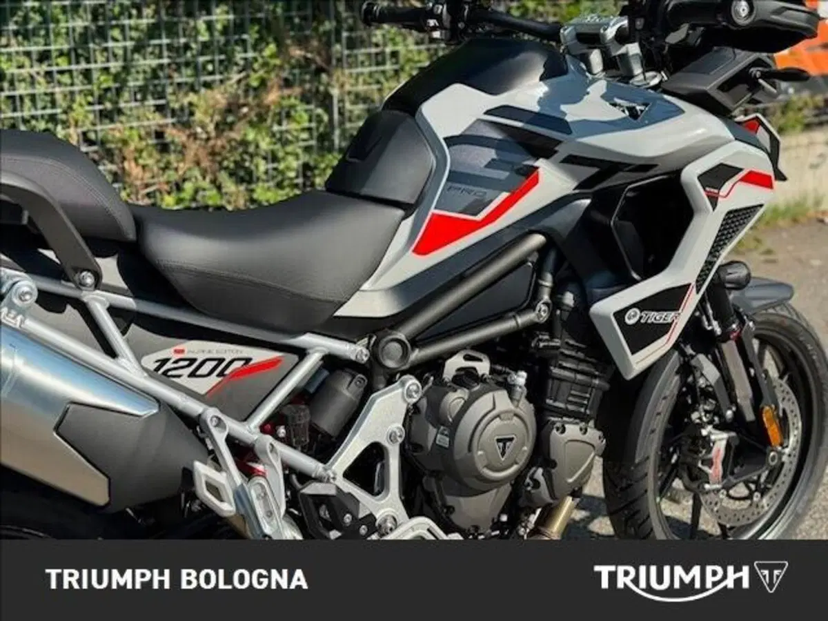 Triumph Tiger 1200 Alpine Special Edition (2026) (8)