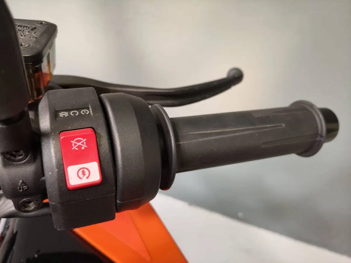 KTM 790 Duke L (2023 - 24) (8)