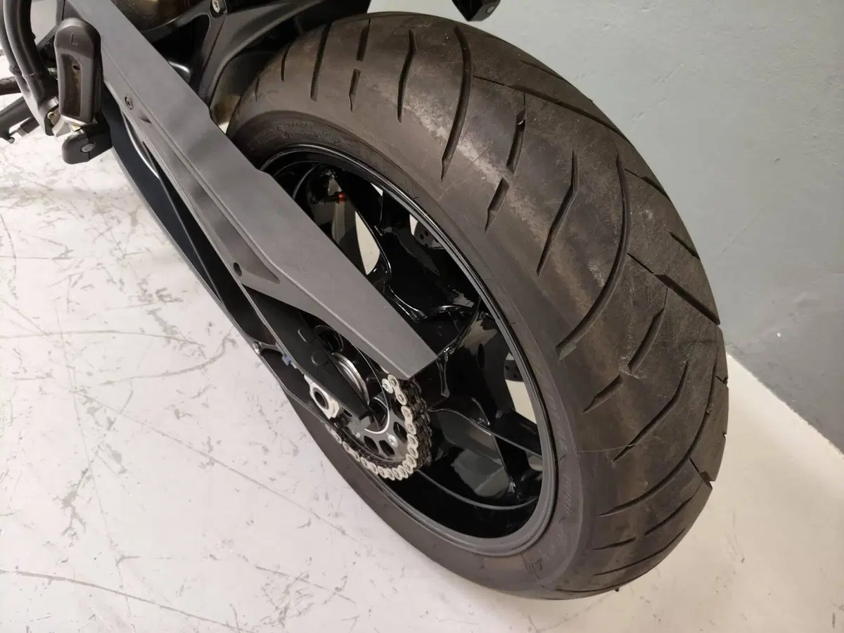 KTM 790 Duke L (2023 - 24) (11)
