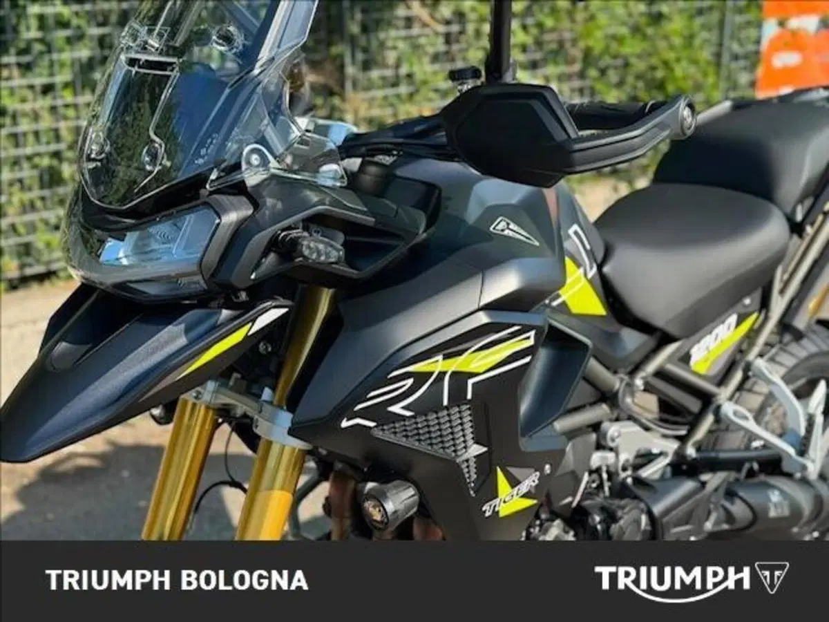 Triumph Tiger 1200 Desert Special Edition (2026) (4)