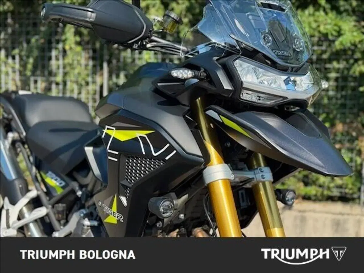 Triumph Tiger 1200 Desert Special Edition (2026) (3)