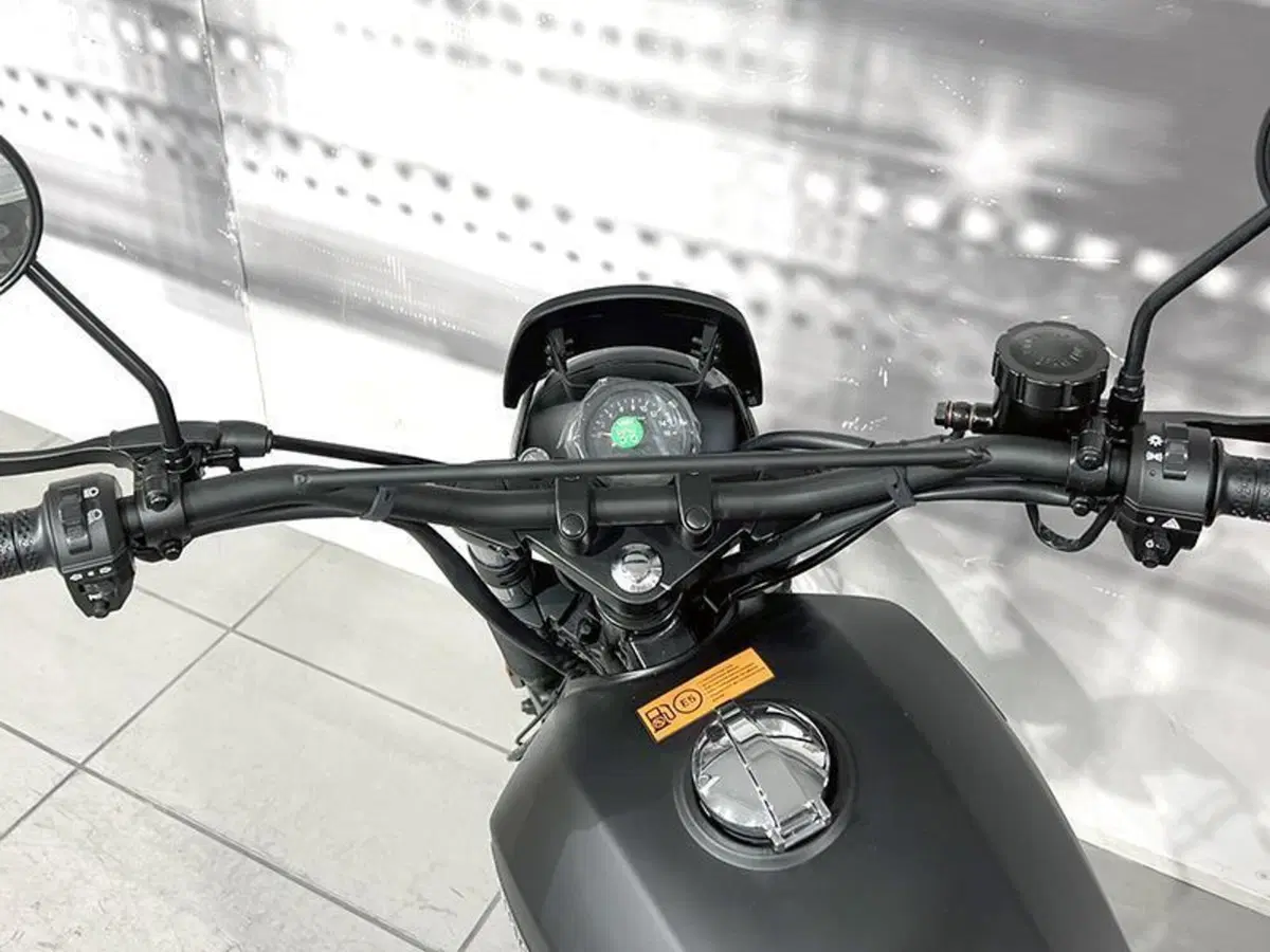 Brixton Motorcycles Felsberg 125 ABS (2021 - 25) (6)