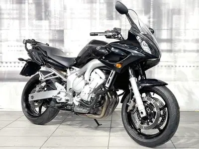 Yamaha FZ6 Fazer (2004 - 07) usata