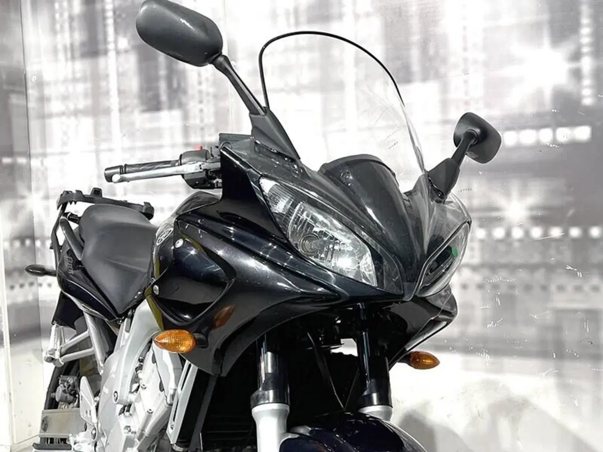 Yamaha FZ6 Fazer (2004 - 07) (9)