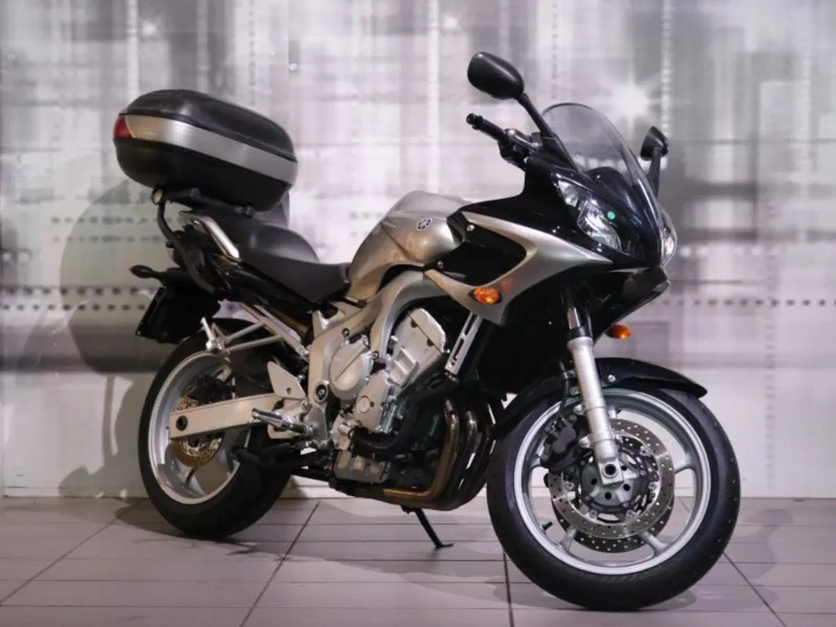 Yamaha FZ6 Fazer (2004 - 07)
