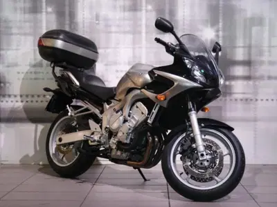 Yamaha FZ6 Fazer (2004 - 07) usata