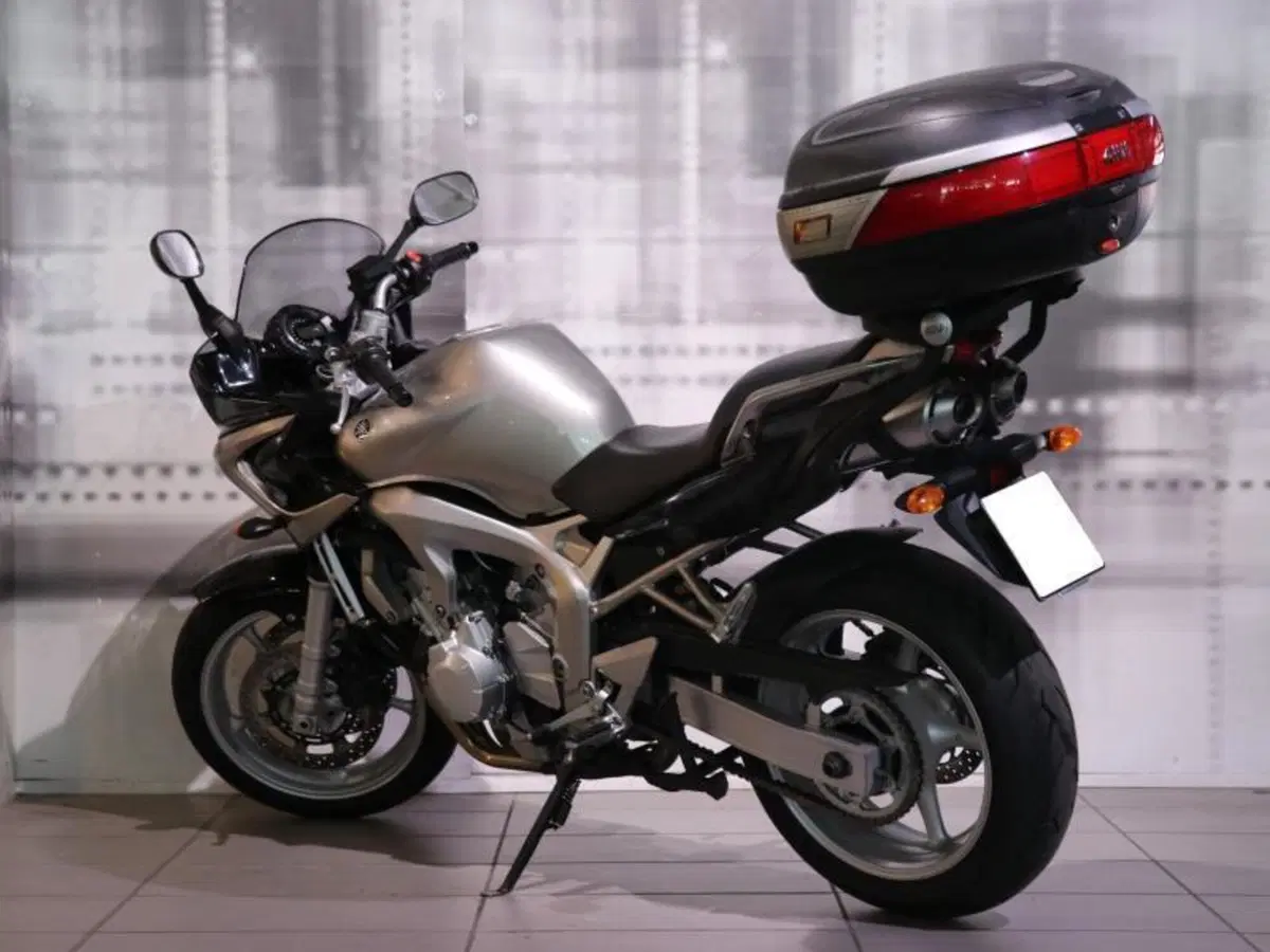 Yamaha FZ6 Fazer (2004 - 07) (2)