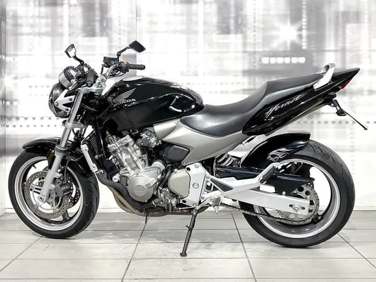 Honda Hornet 600 (2003 - 04) (2)