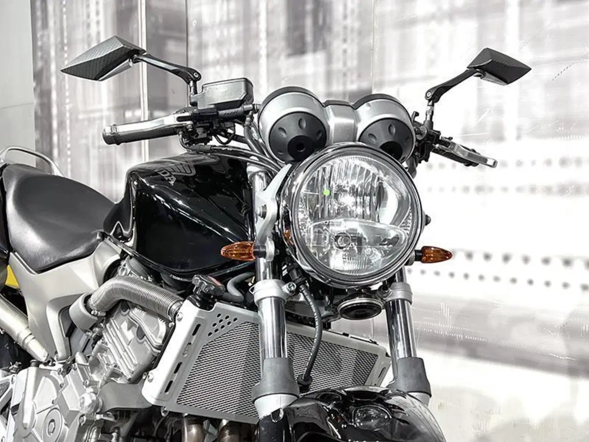 Honda Hornet 600 (2003 - 04) (4)