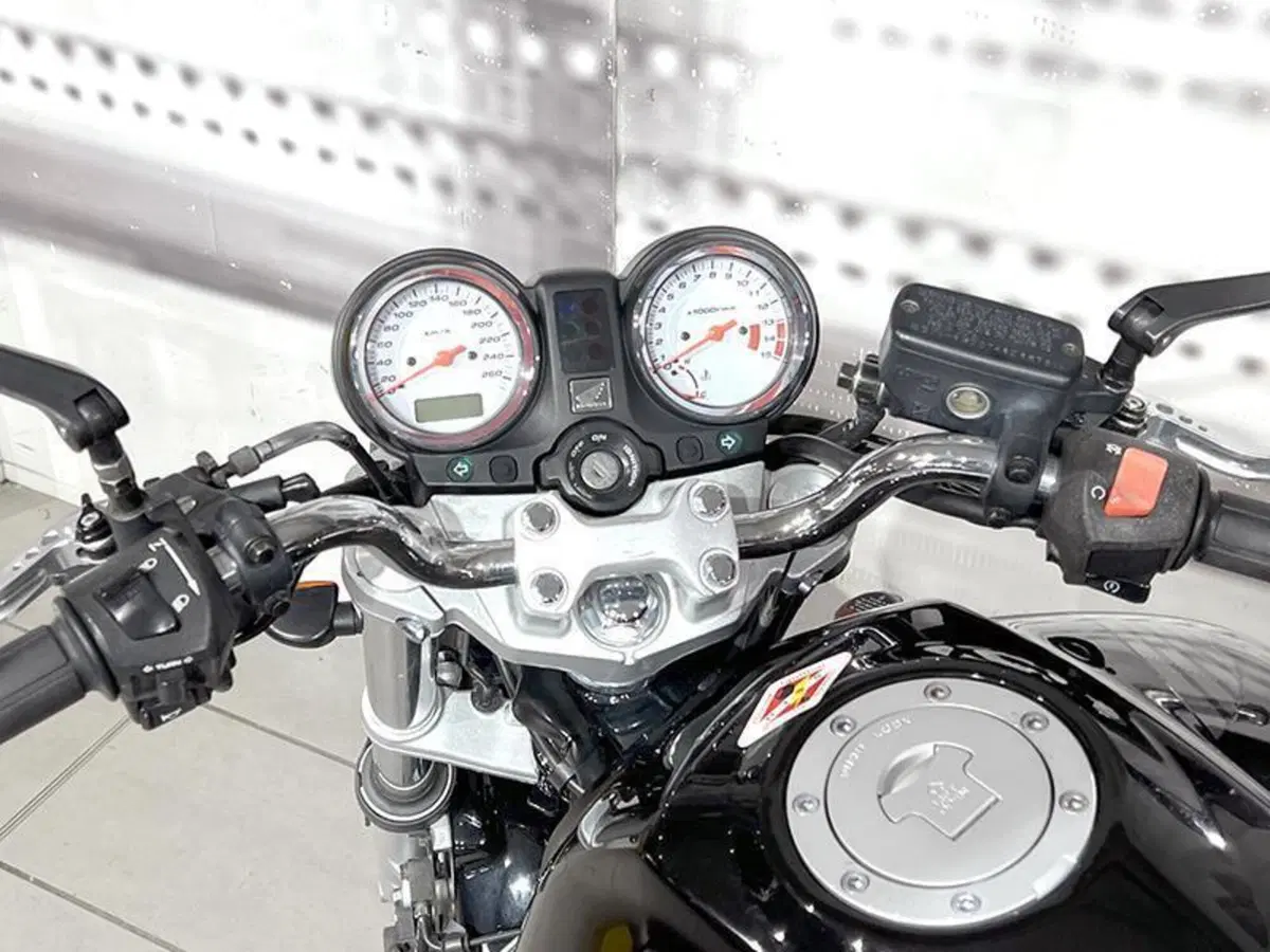 Honda Hornet 600 (2003 - 04) (5)