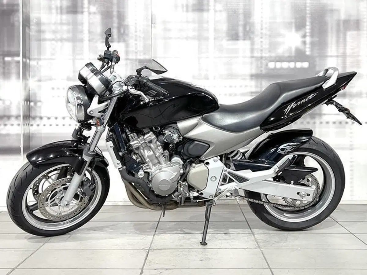 Honda Hornet 600 (2003 - 04) (6)