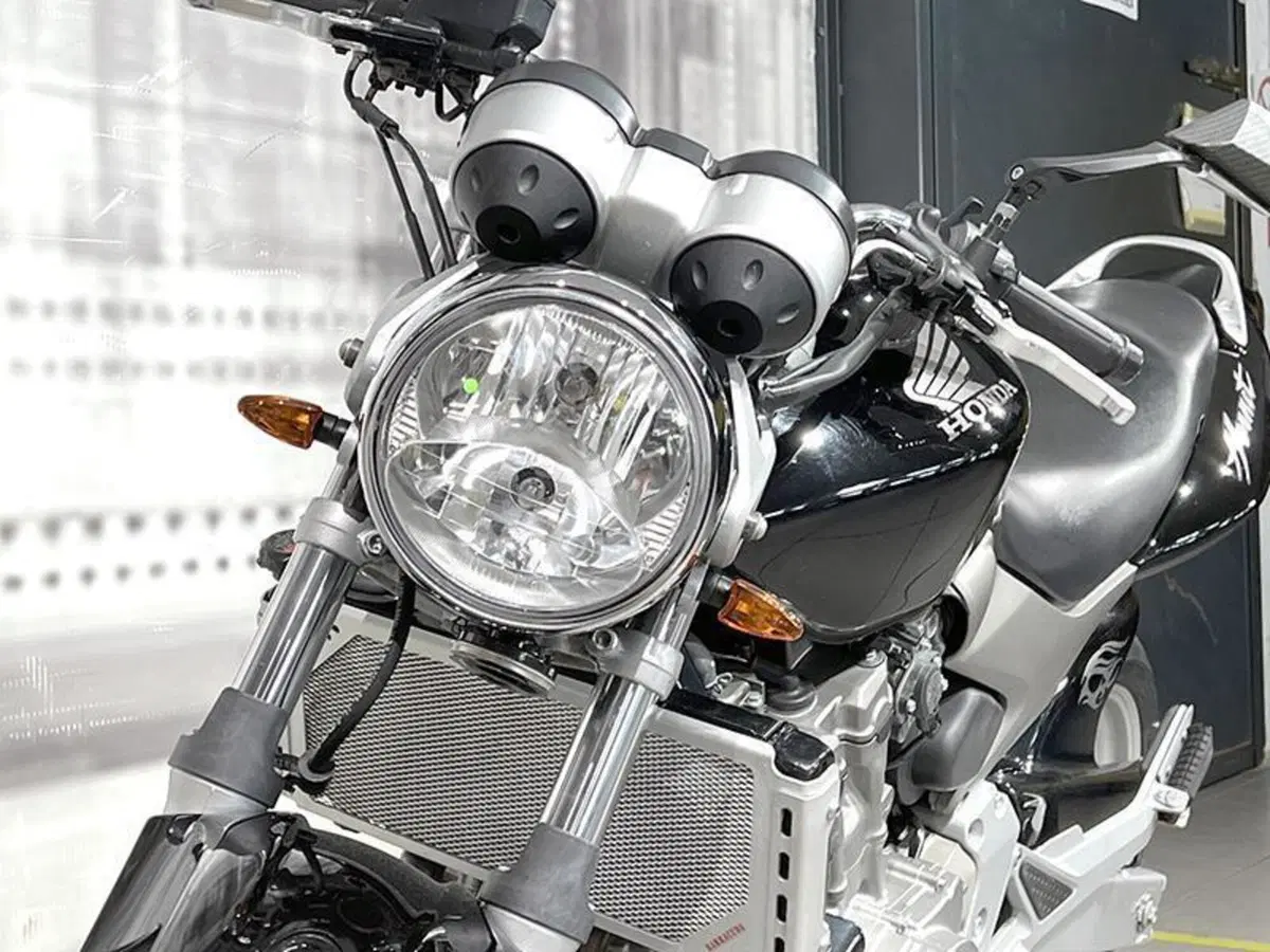 Honda Hornet 600 (2003 - 04) (8)