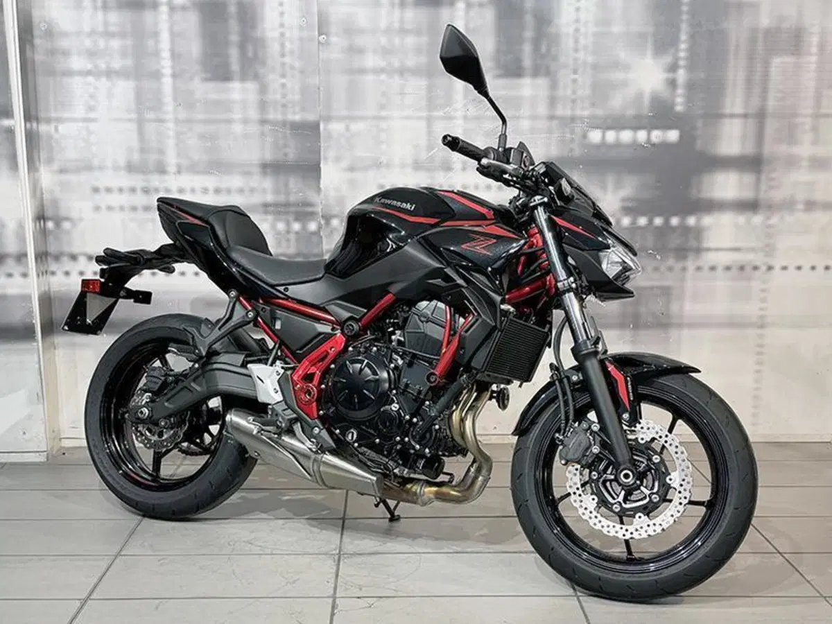 Kawasaki Z 650 (2025 - 26)