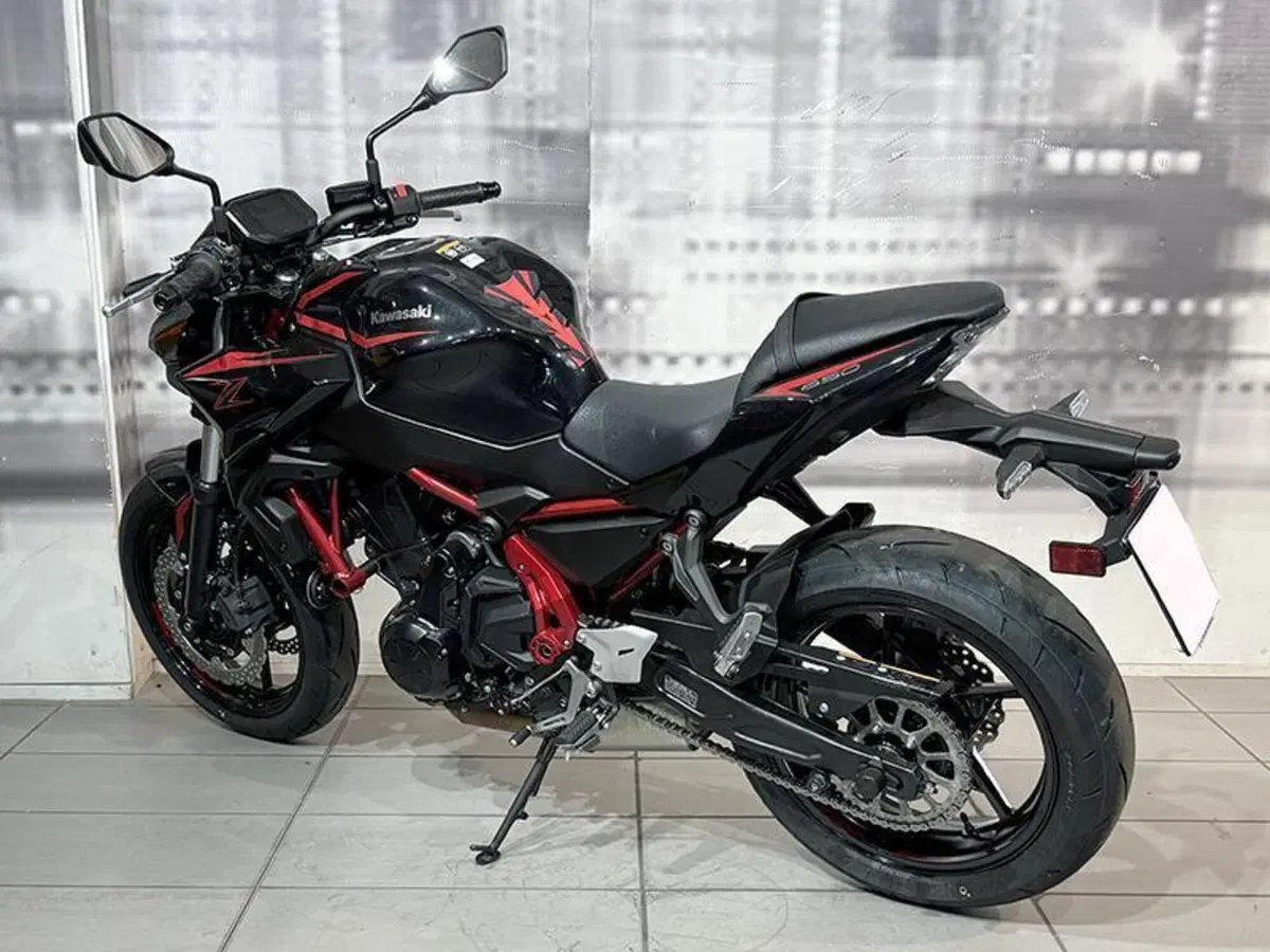 Kawasaki Z 650 (2025 - 26) (2)