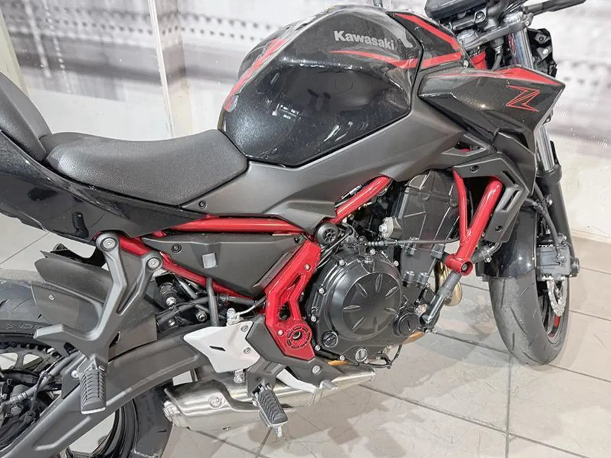 Kawasaki Z 650 (2025 - 26) (3)