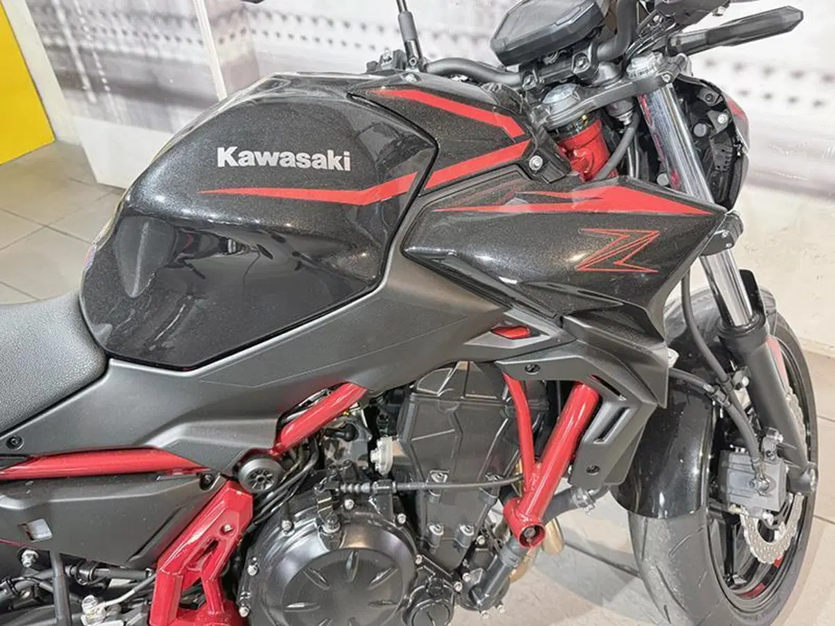 Kawasaki Z 650 (2025 - 26) (4)