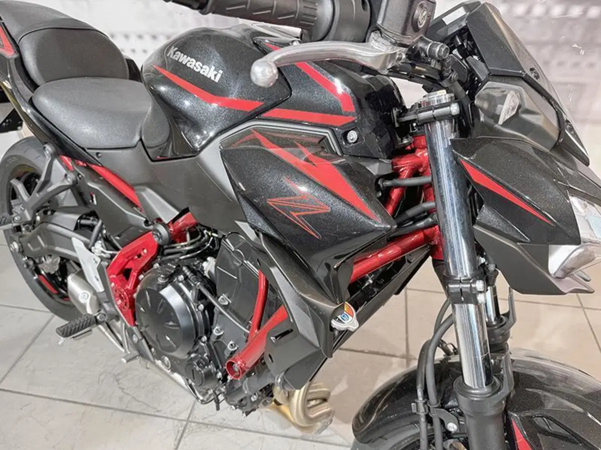 Kawasaki Z 650 (2025 - 26) (6)