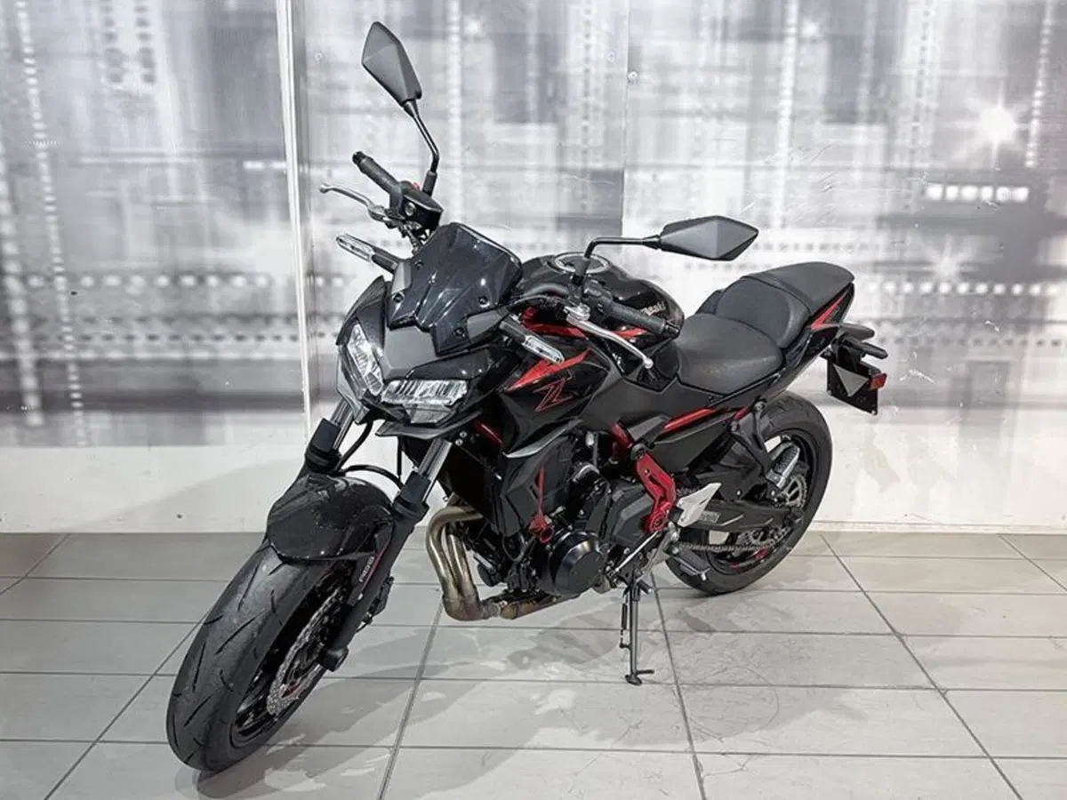 Kawasaki Z 650 (2025 - 26) (7)