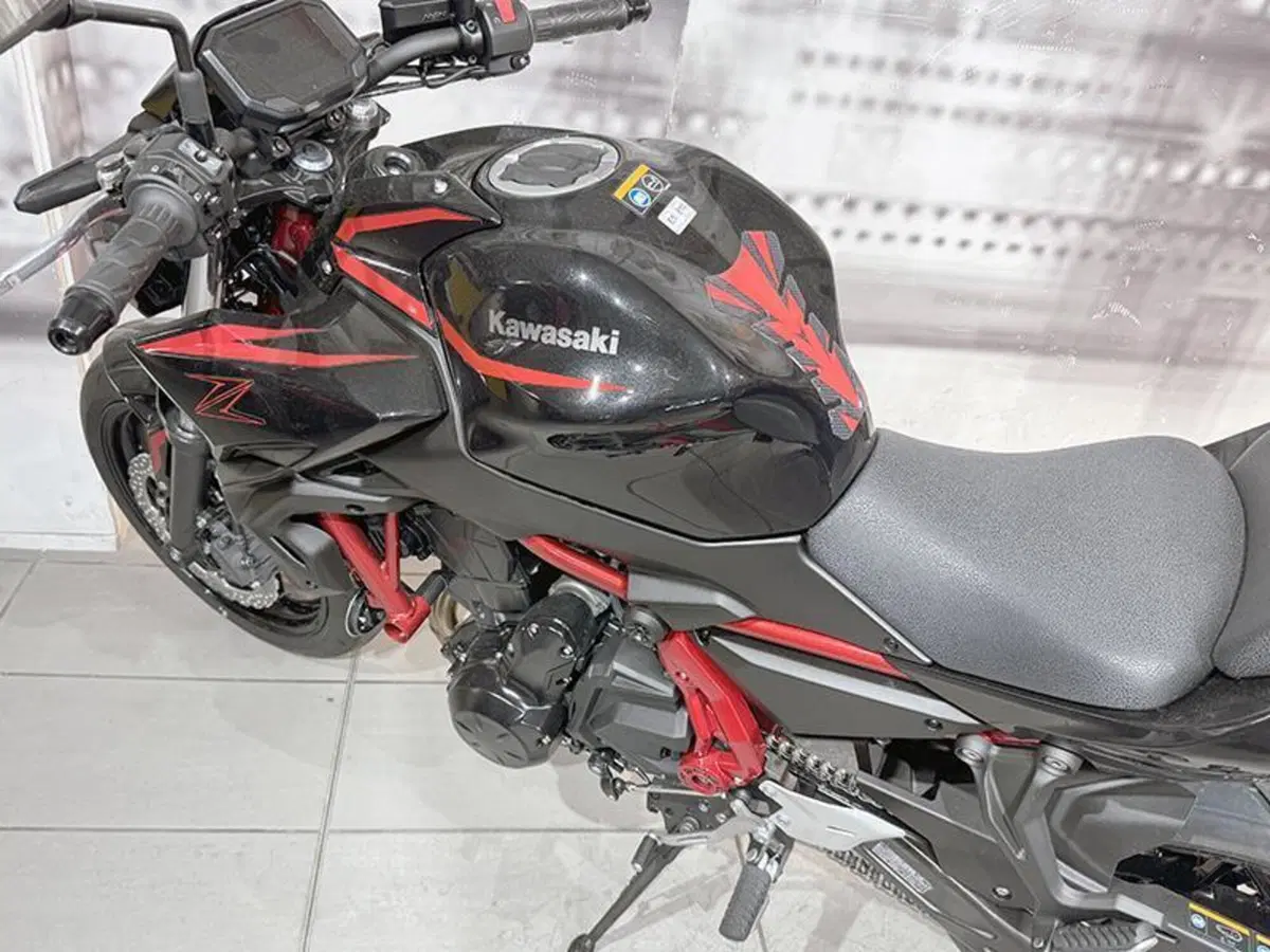 Kawasaki Z 650 (2025 - 26) (9)