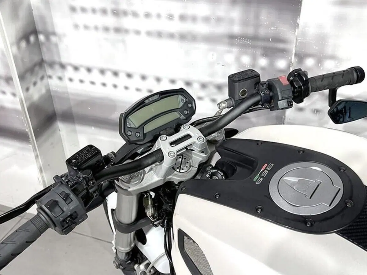 Ducati Monster 696 (2008 - 13) (6)
