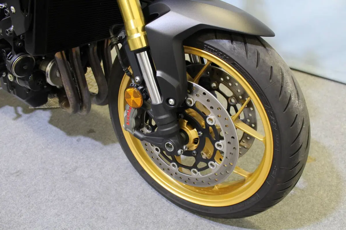 Honda CB 1000 Hornet SP (2025 - 26) (7)