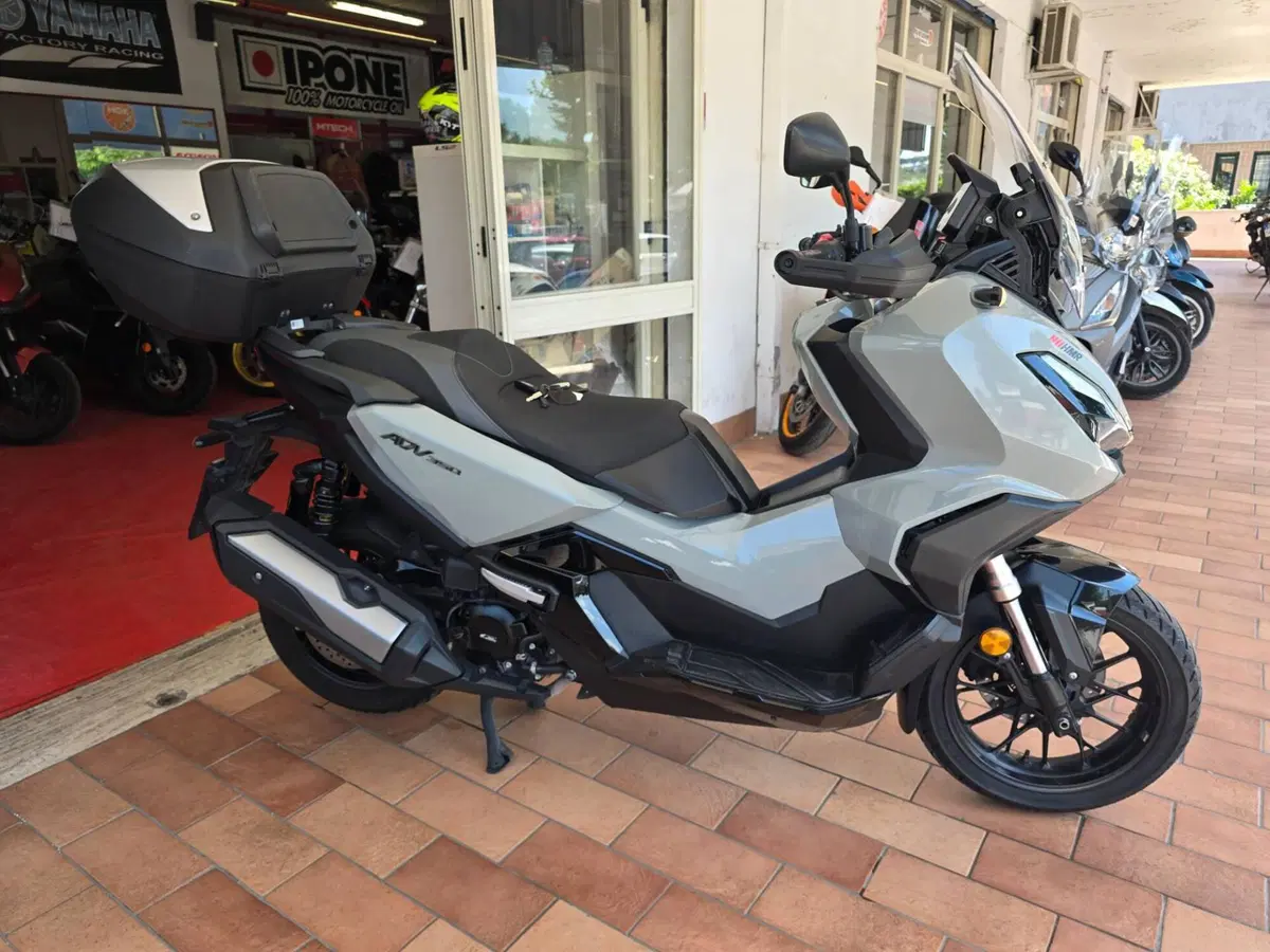 Honda ADV 350 (2022 - 24) (5)