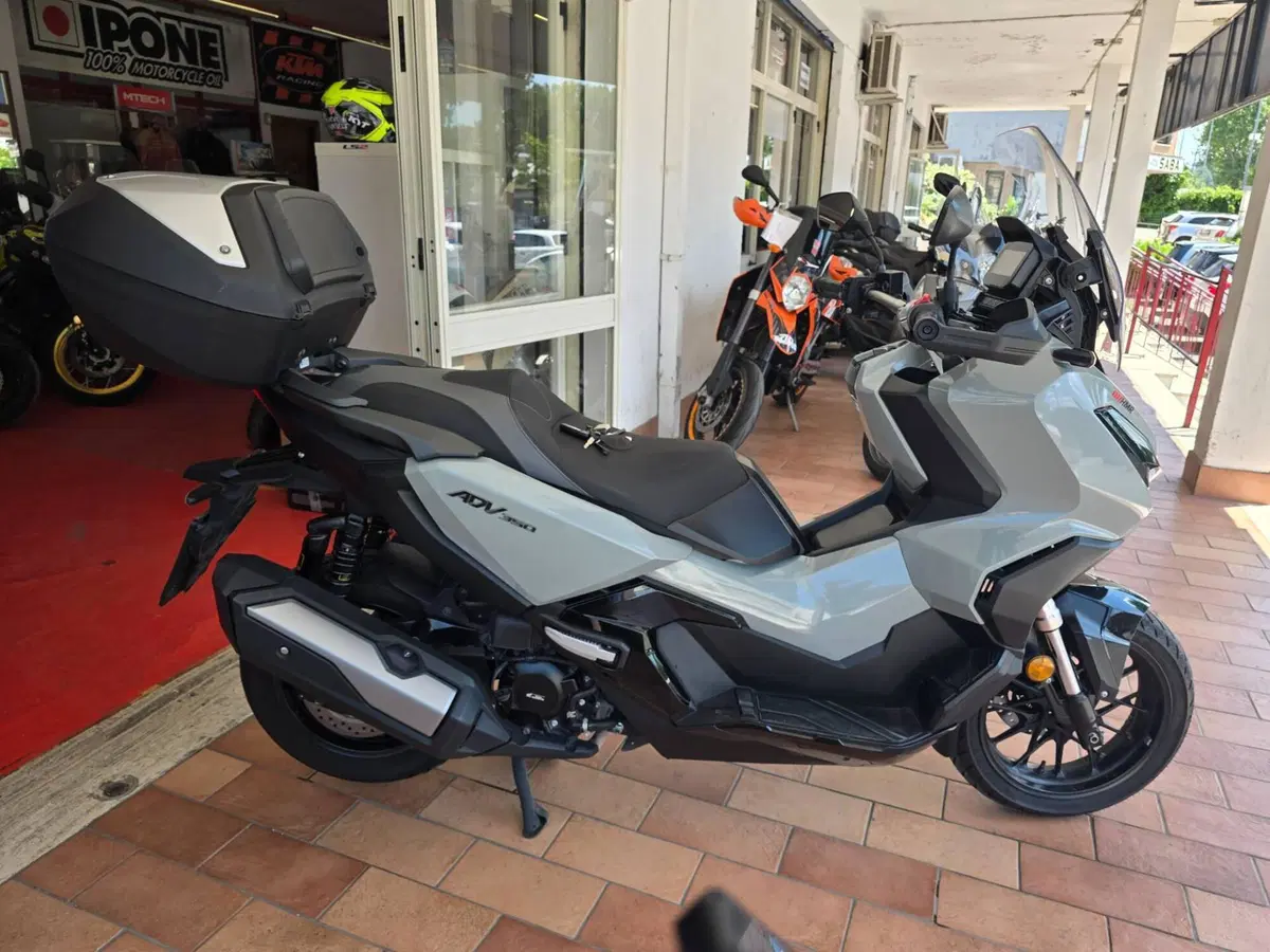Honda ADV 350 (2022 - 24) (3)