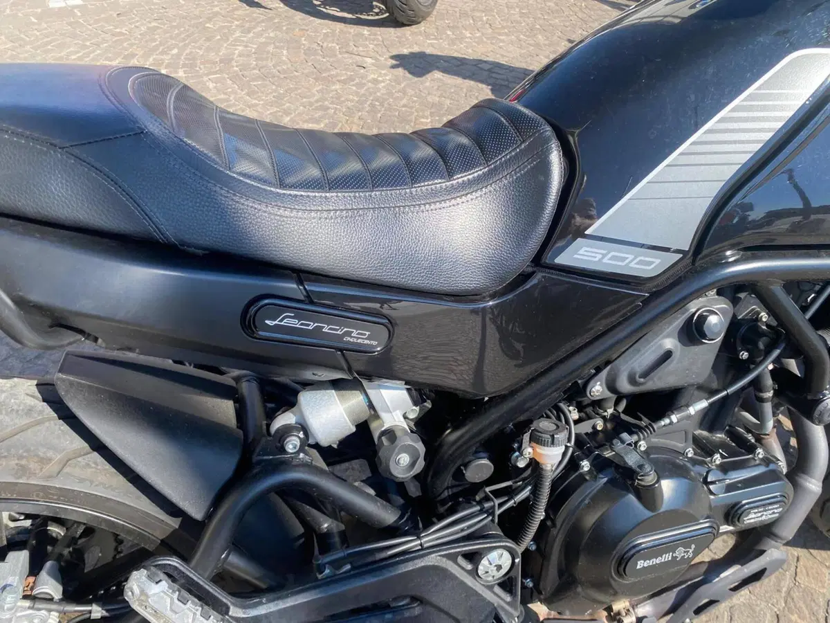 Benelli Leoncino 500 (2021 - 25) (5)