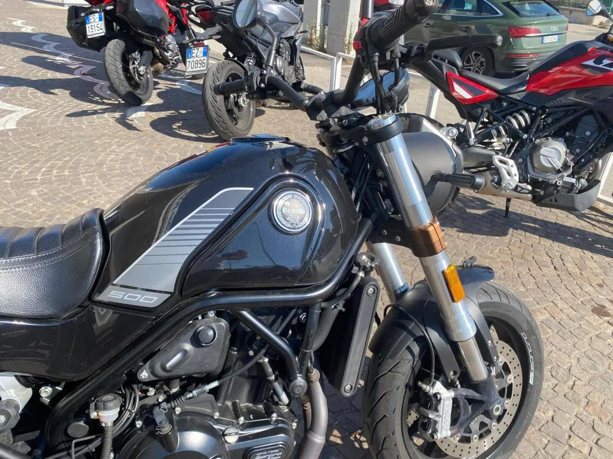 Benelli Leoncino 500 (2021 - 25) (7)