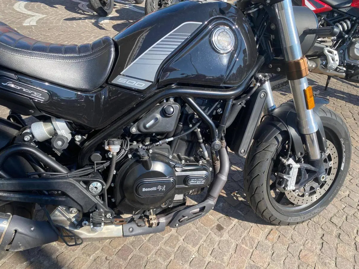 Benelli Leoncino 500 (2021 - 25) (8)