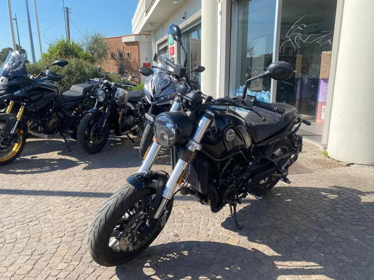Benelli Leoncino 500 (2021 - 25) (4)