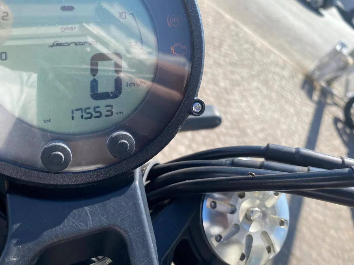 Benelli Leoncino 500 (2021 - 25) (3)