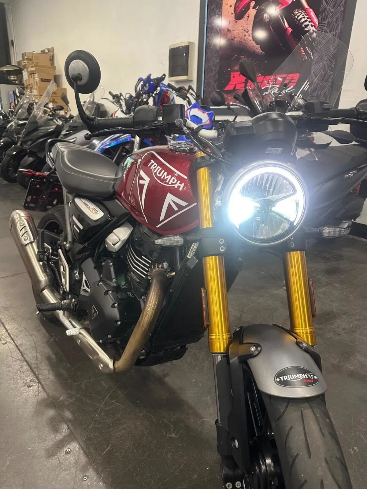 Triumph Speed 400 (2024 - 26) (5)