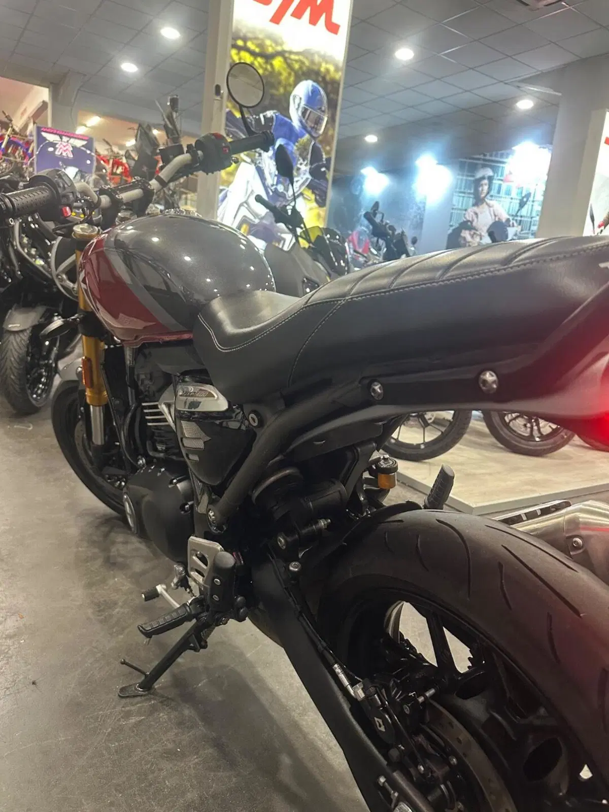 Triumph Speed 400 (2024 - 26) (10)