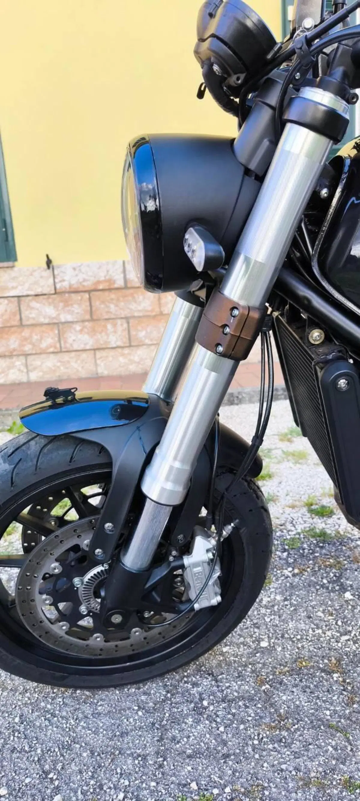 Benelli Leoncino 500 (2021 - 25) (2)