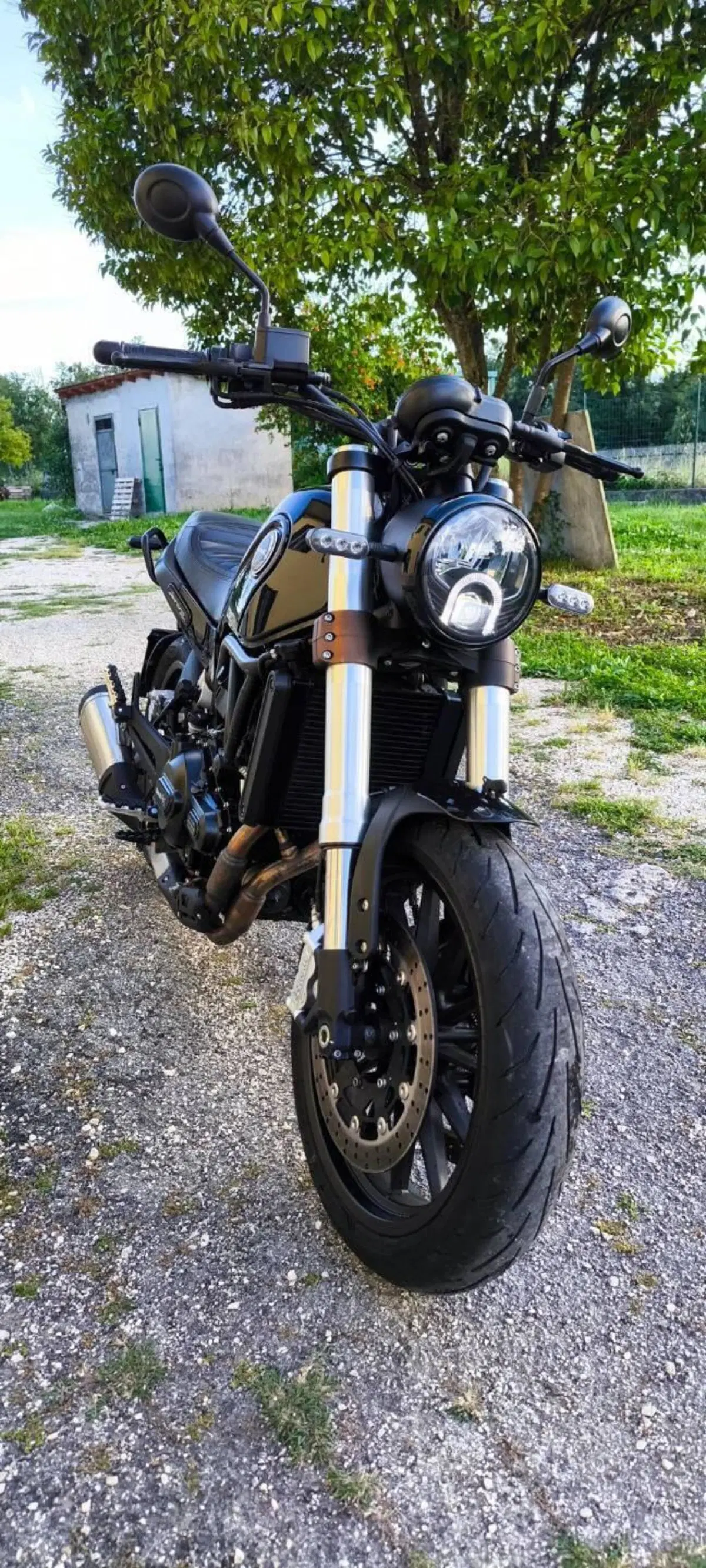 Benelli Leoncino 500 (2021 - 25) (5)