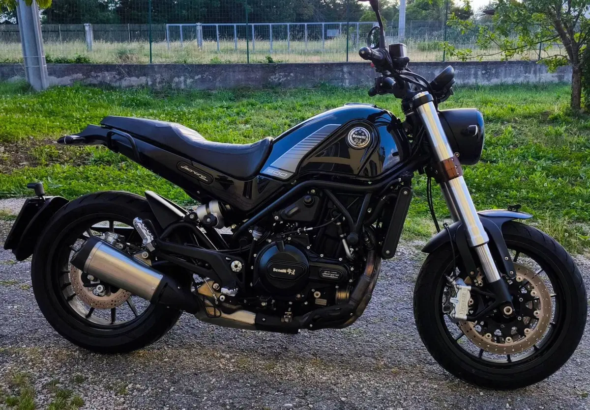 Benelli Leoncino 500 (2021 - 25) (6)