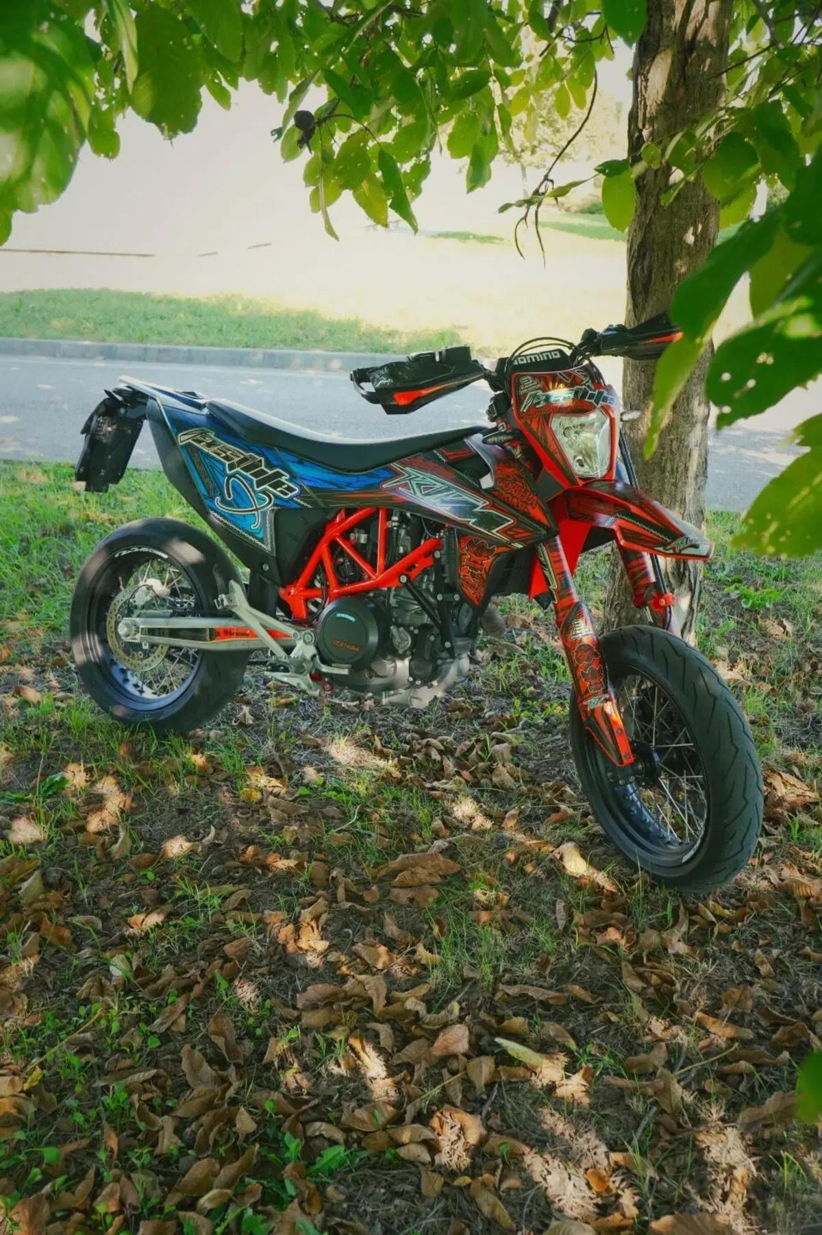 KTM 690 SMC R (2021 - 22) (6)