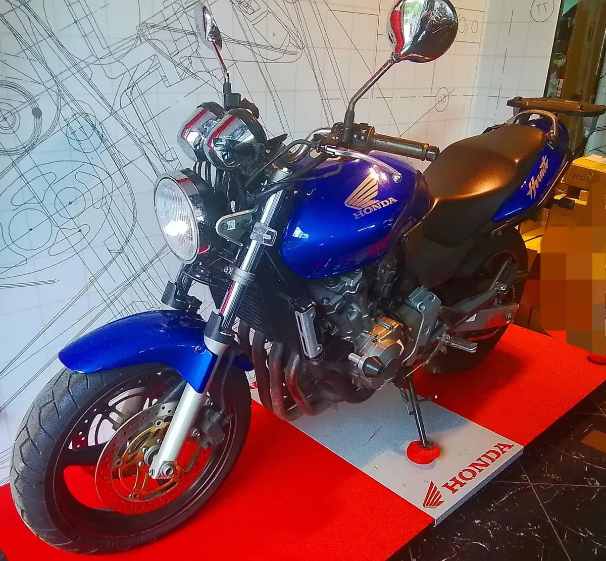 Honda Hornet 600 (2000 - 02) (2)