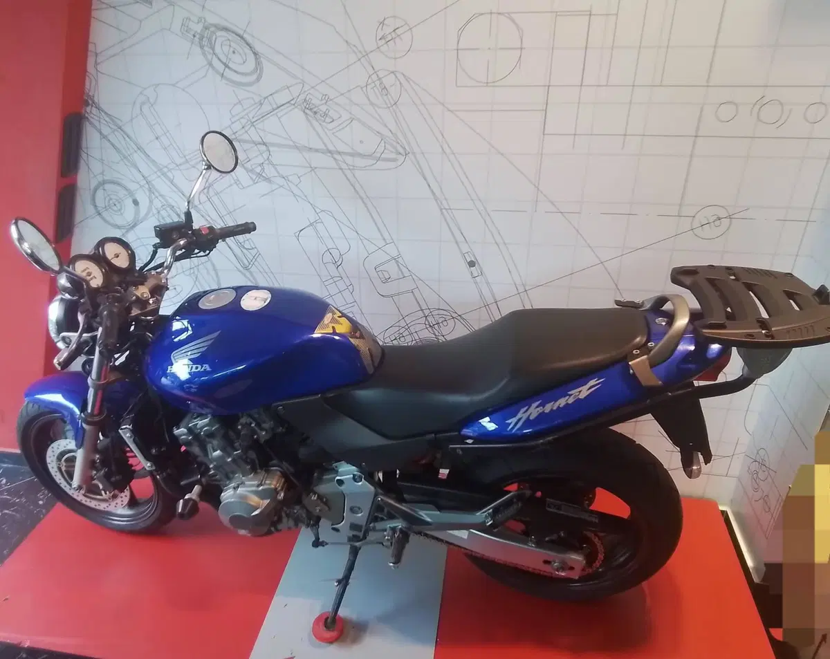 Honda Hornet 600 (2000 - 02) (7)