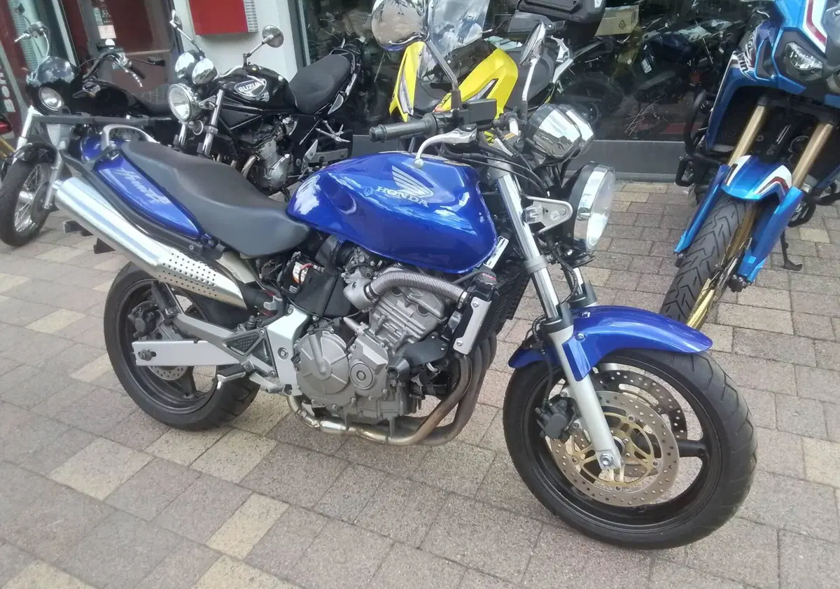 Honda Hornet 600 (2000 - 02) (14)