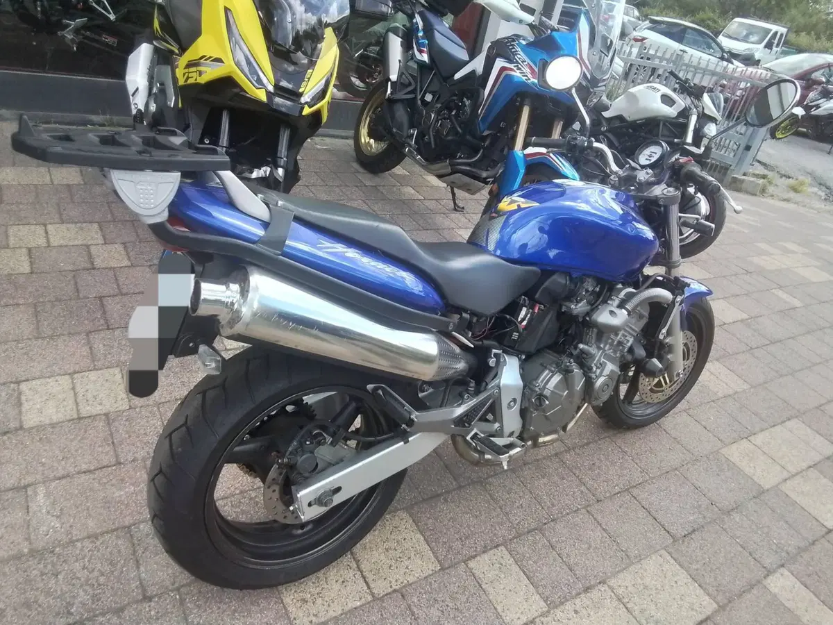 Honda Hornet 600 (2000 - 02) (15)