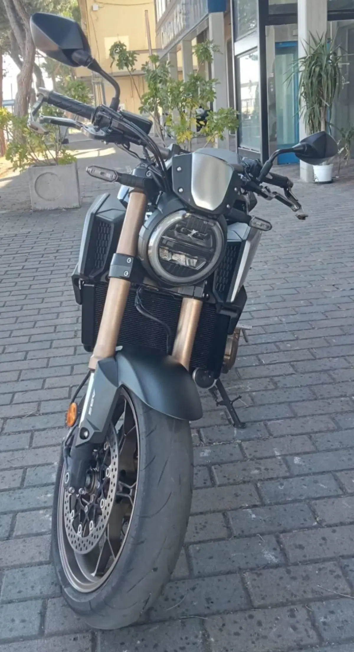 Honda CB 650 R (2019 - 20) (3)