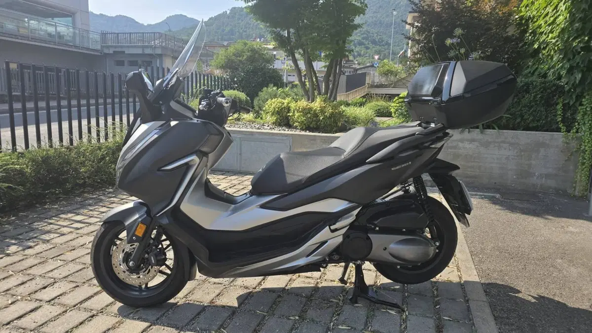 Honda Forza 300 Deluxe ABS (2018 - 20) (4)