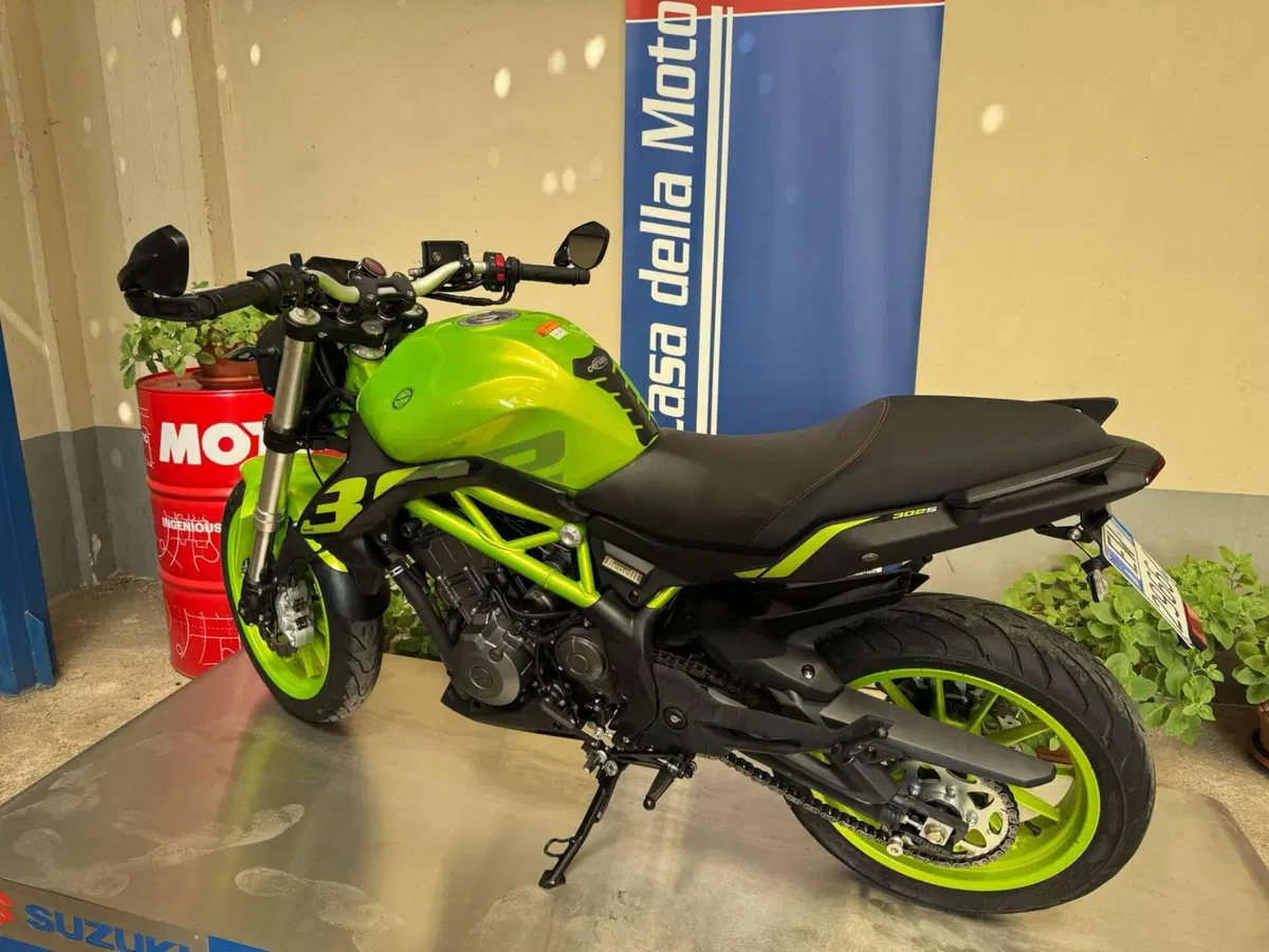 Benelli BN 302 S (2019 - 20) (5)