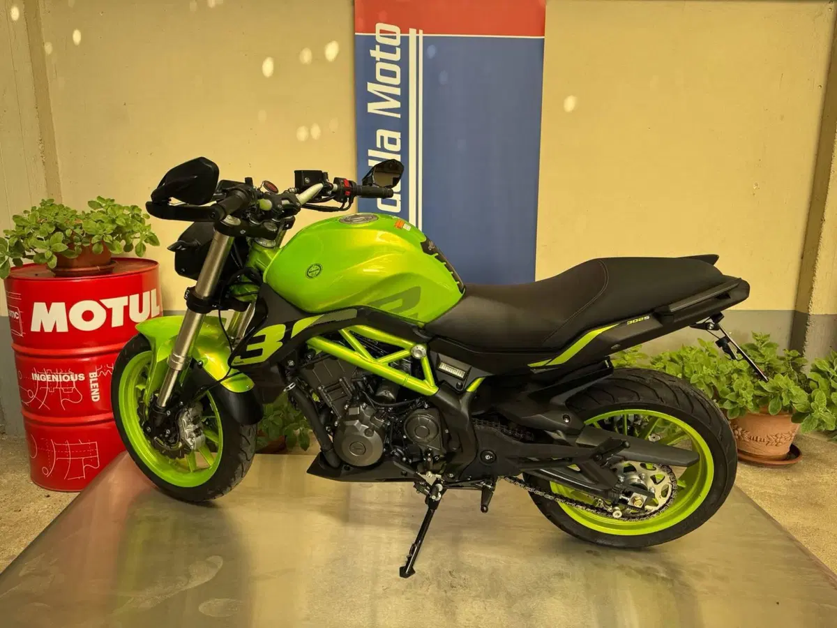 Benelli BN 302 S (2019 - 20) (6)