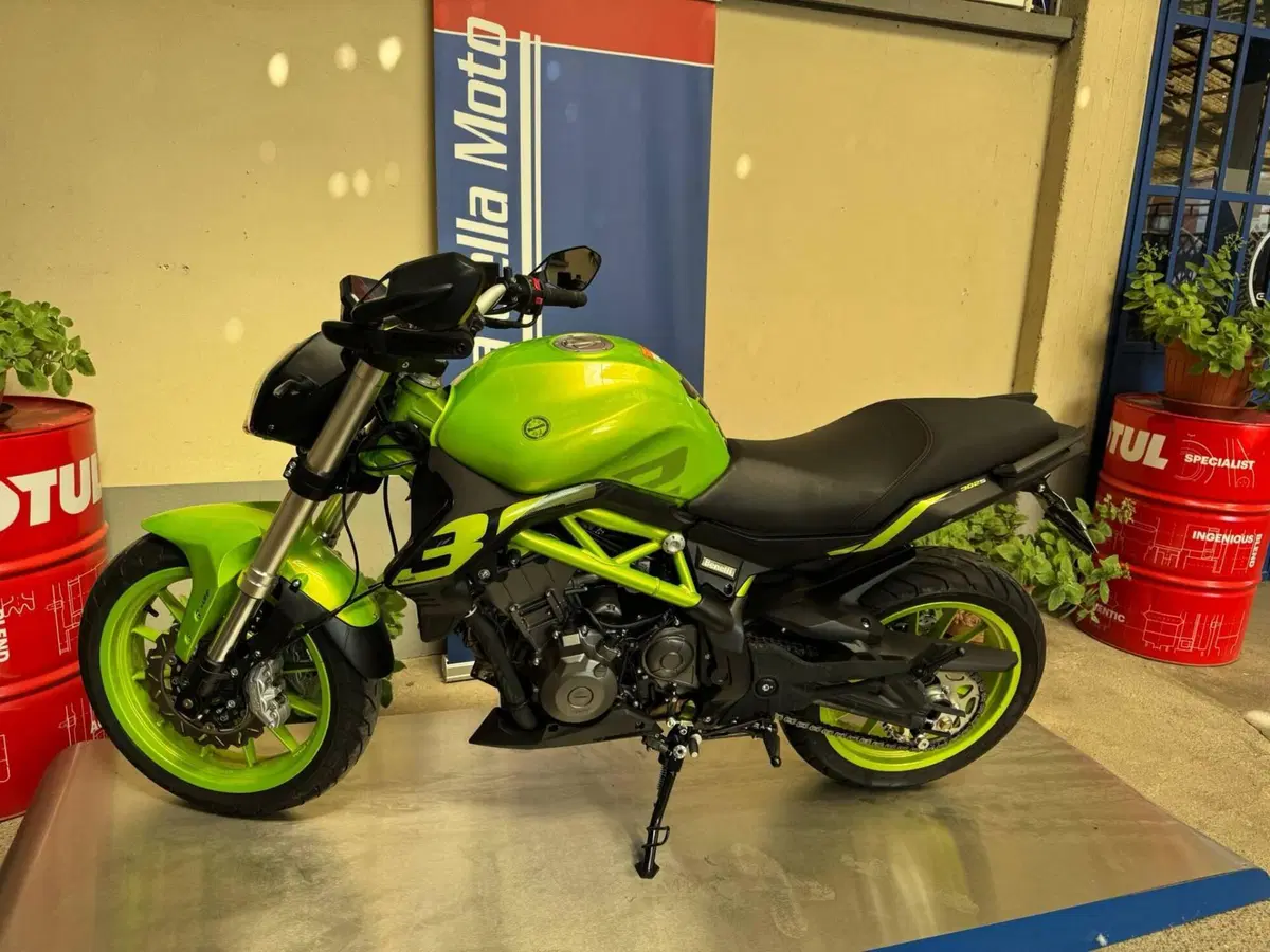 Benelli BN 302 S (2019 - 20) (4)